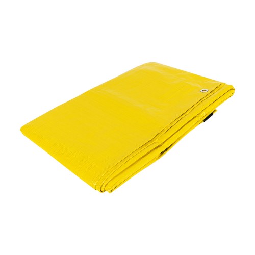 Lona 3 x 6 m, amarilla, Pretul 26163